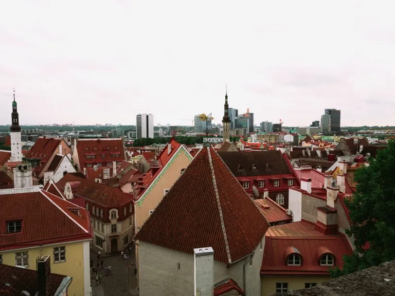 A view of the Tallinn Skyline from a viewing platform